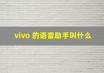 vivo 的语音助手叫什么